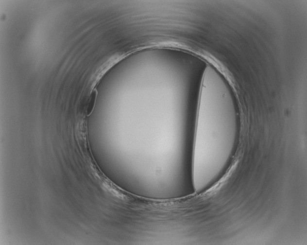 X0000068831001200605051231