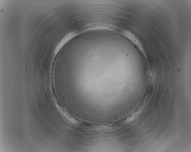 X0000068831002200605051231