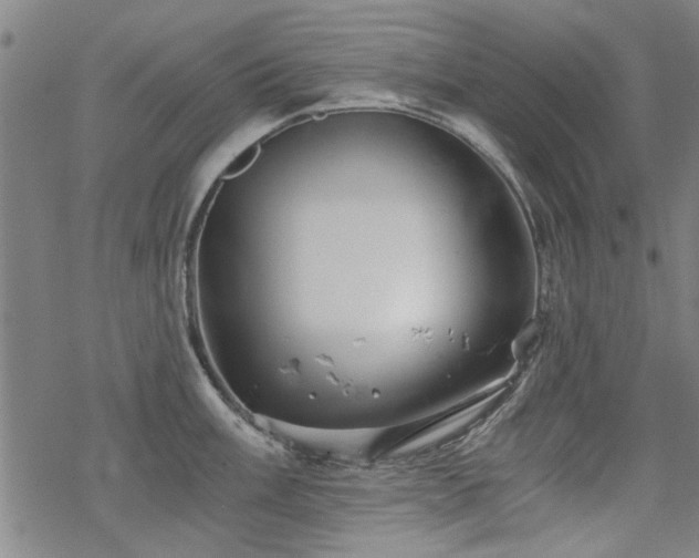 X0000068831003200605051231