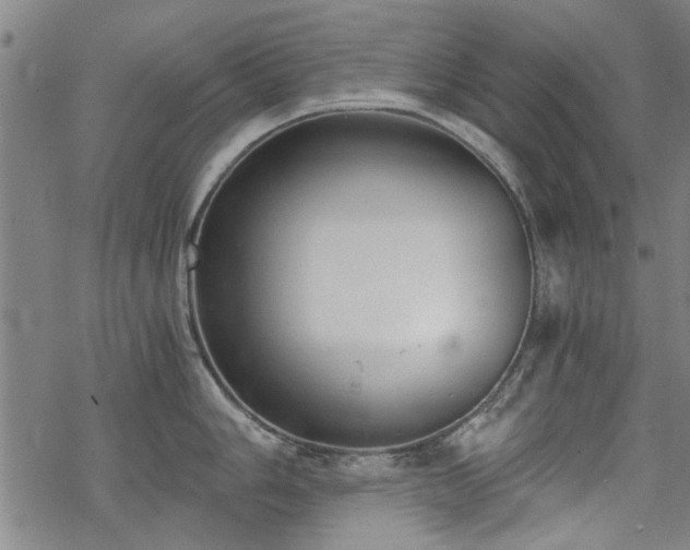 X0000068831006200605051231