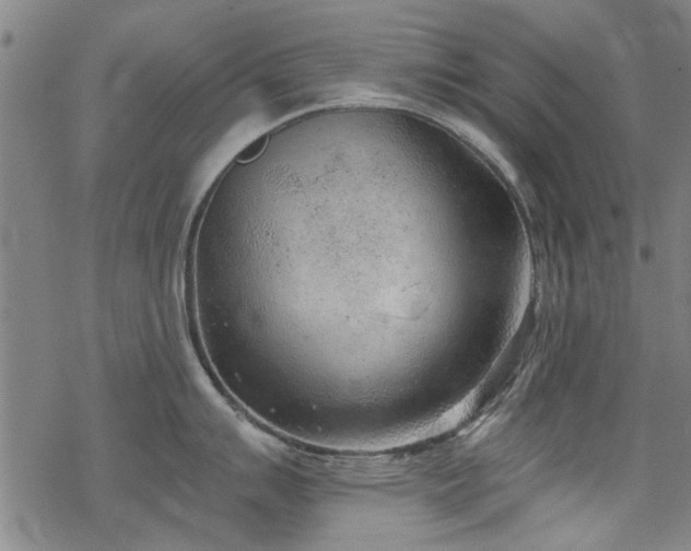 X0000068831007200605051231