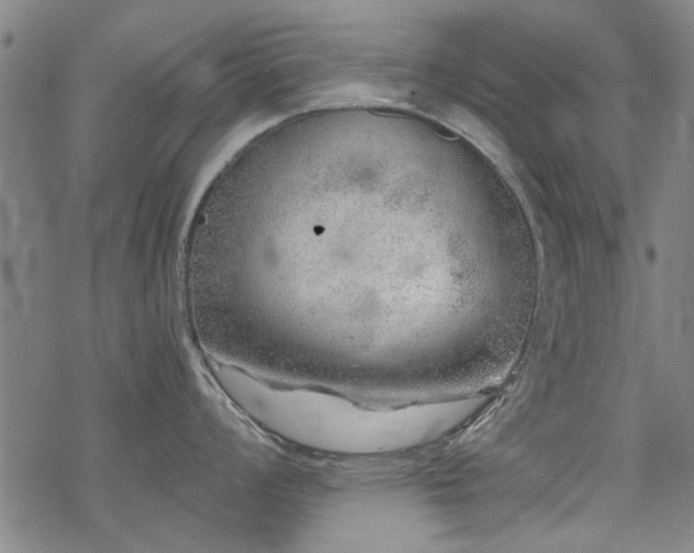 X0000068831008200605051231