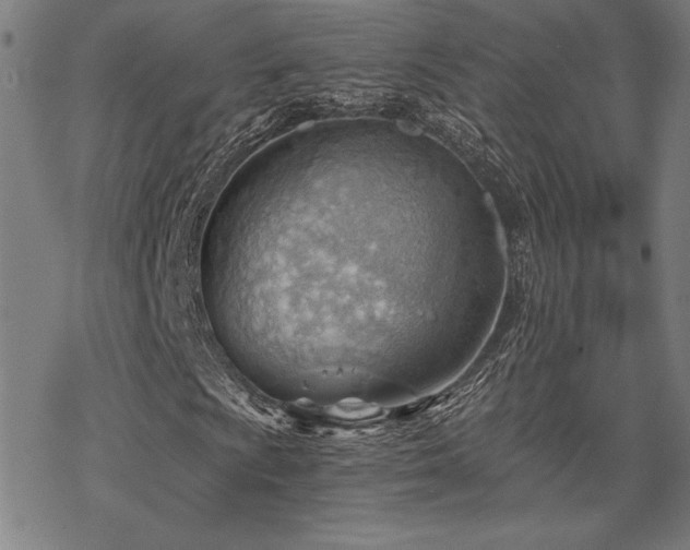 X0000068831009200605051230