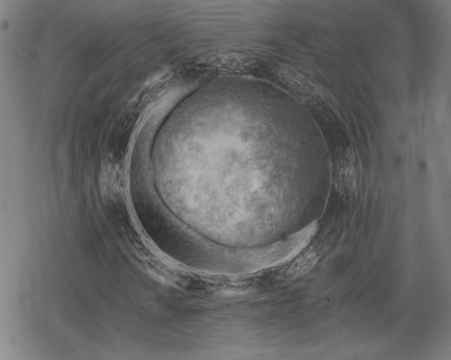 X0000068831010200605051230