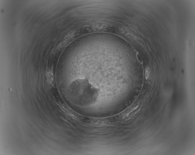 X0000068831011200605051230