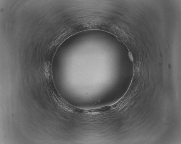 X0000068831012200605051230