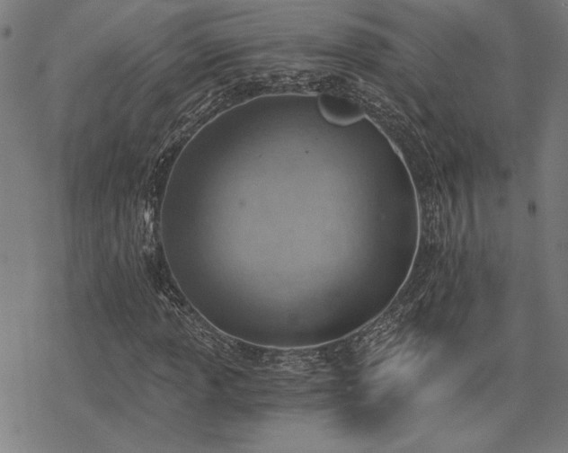 X0000068831013200605051230