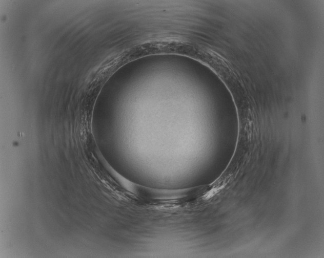 X0000068831014200605051231