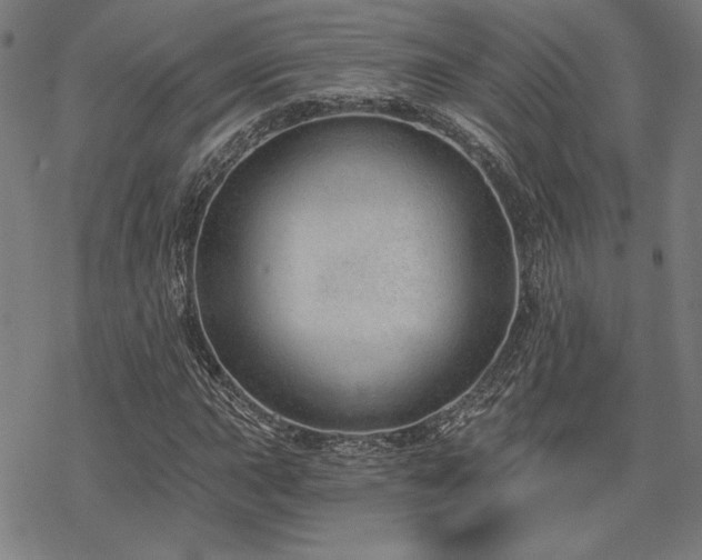 X0000068831015200605051231