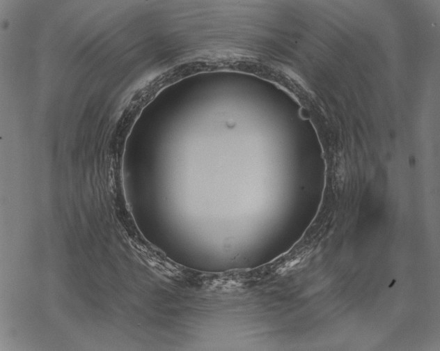 X0000068831016200605051231