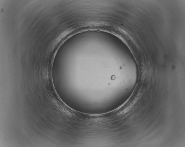 X0000068831017200605051231