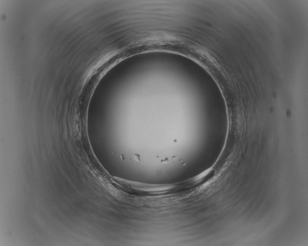 X0000068831018200605051231