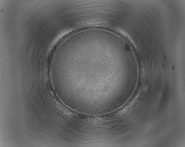 X0000068831019200605051231