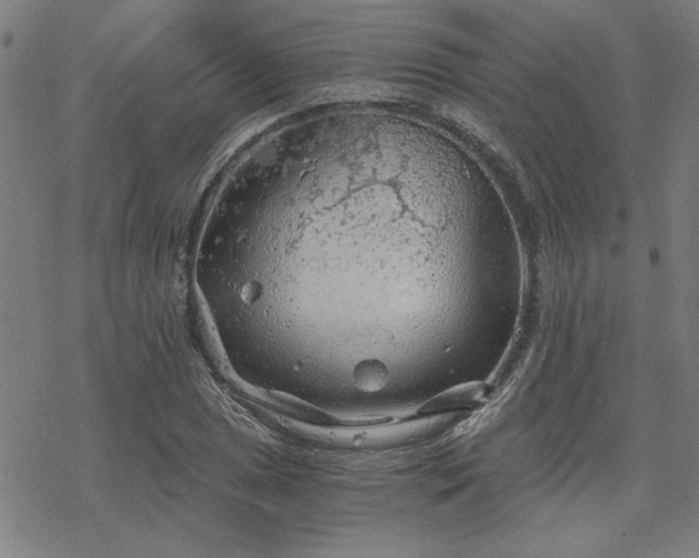 X0000068831025200605051231