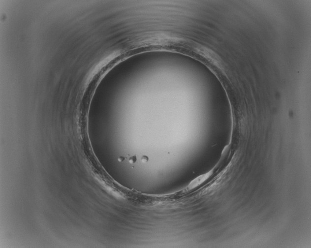 X0000068831026200605051231