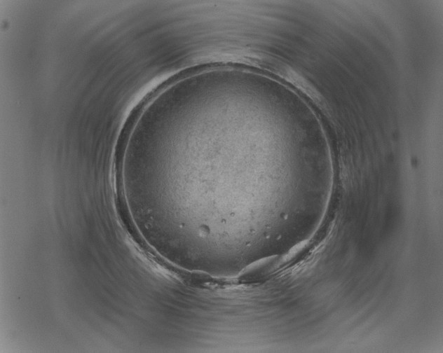 X0000068831028200605051231