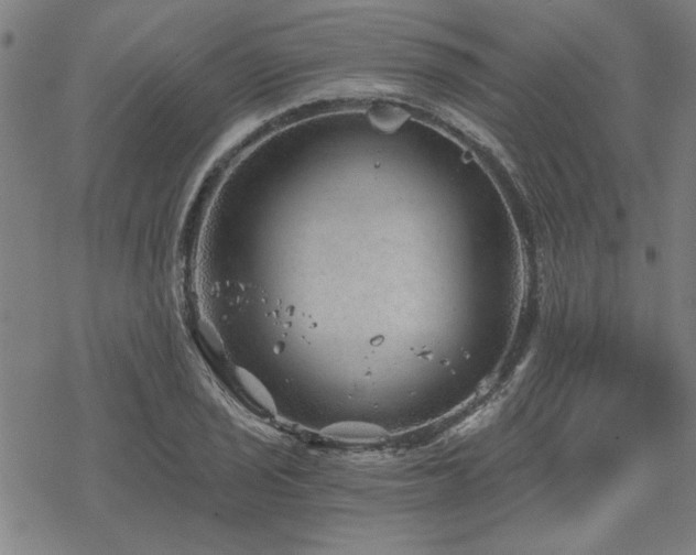 X0000068831029200605051231