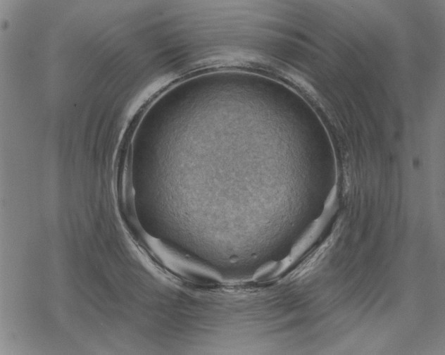 X0000068831034200605051231