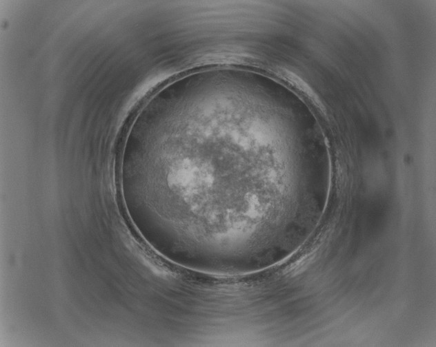 X0000068831035200605051231