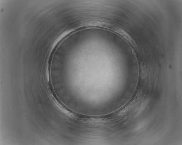 X0000068831036200605051231