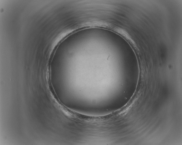 X0000068831040200605051231