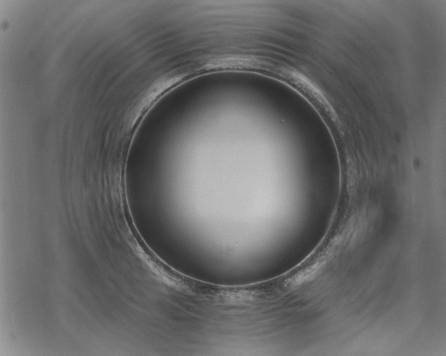 X0000068831041200605051231