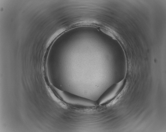 X0000068831042200605051231