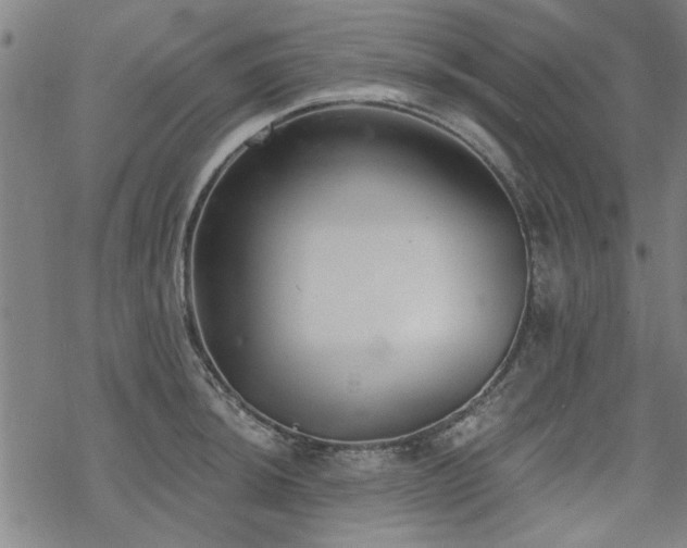 X0000068831044200605051231