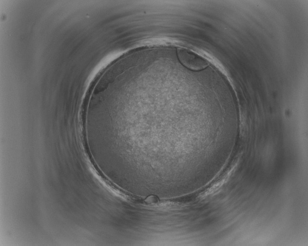 X0000068831045200605051231