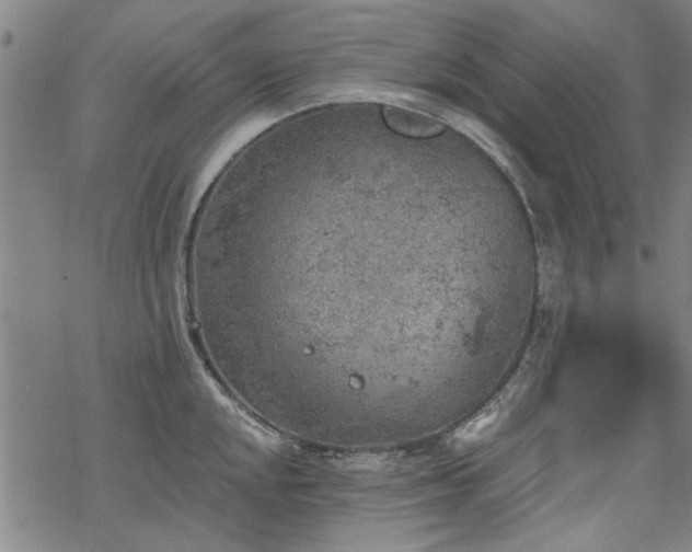 X0000068831048200605051231