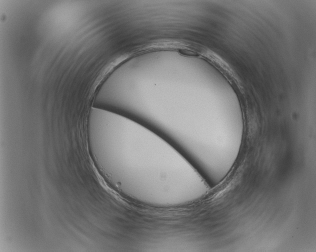 X0000068831049200605051231