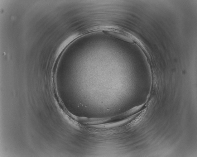 X0000068831050200605051231