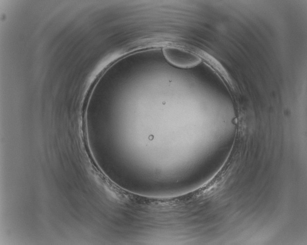 X0000068831051200605051231