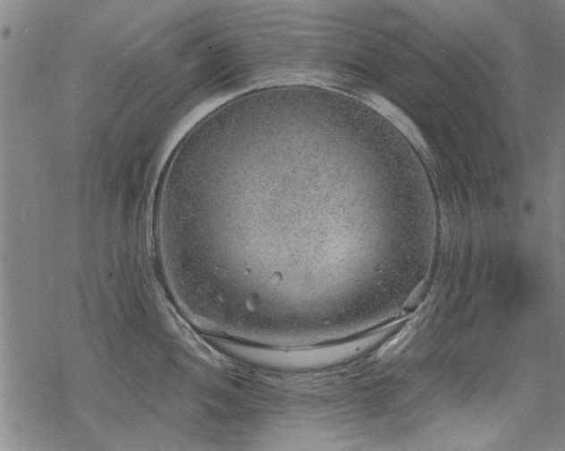 X0000068831052200605051231