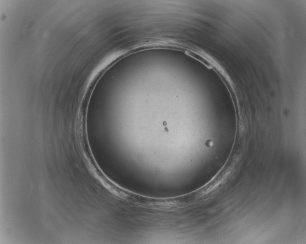 X0000068831053200605051231