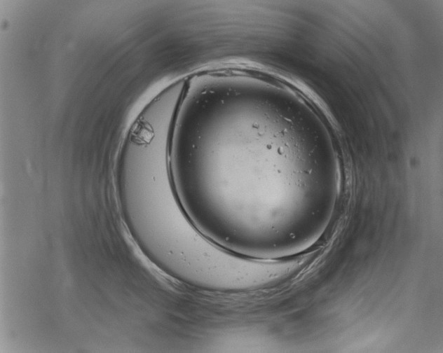 X0000068831054200605051231