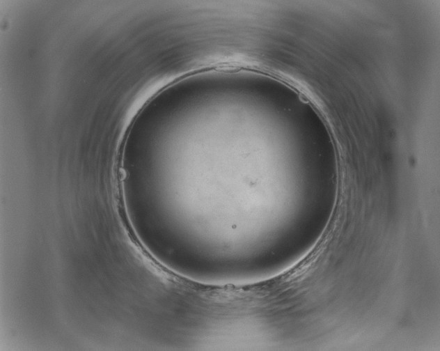 X0000068831056200605051231