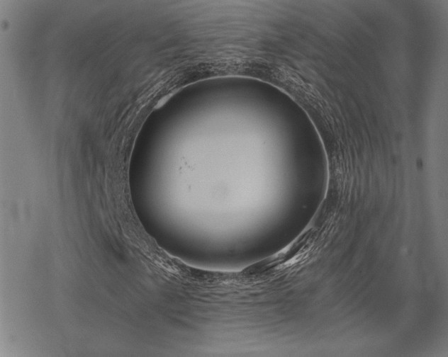 X0000068831057200605051230