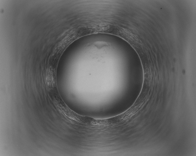 X0000068831058200605051230