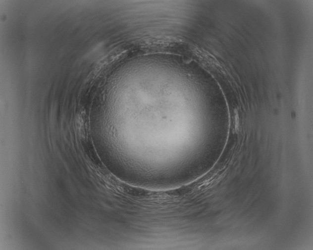 X0000068831059200605051230