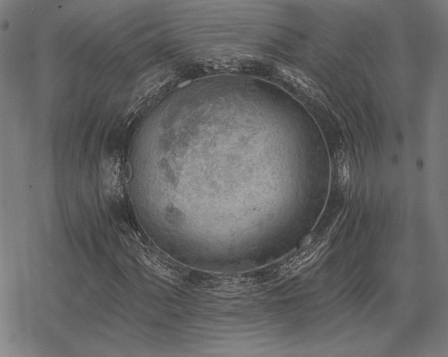 X0000068831060200605051230