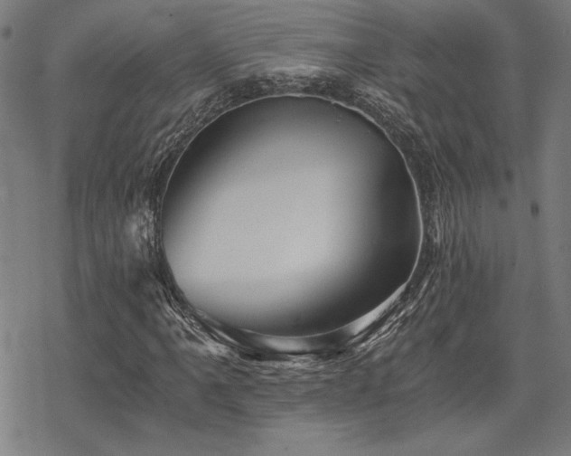 X0000068831061200605051230