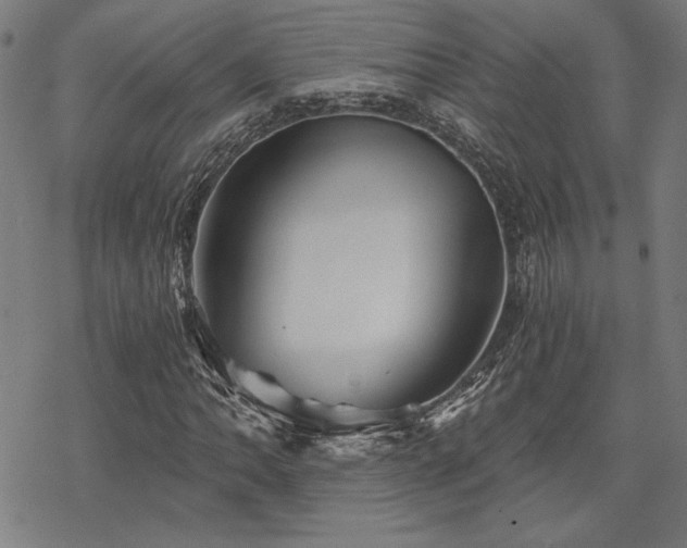 X0000068831062200605051230