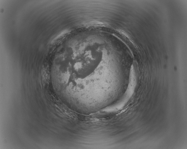 X0000068831063200605051230