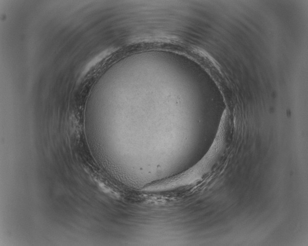 X0000068831064200605051230