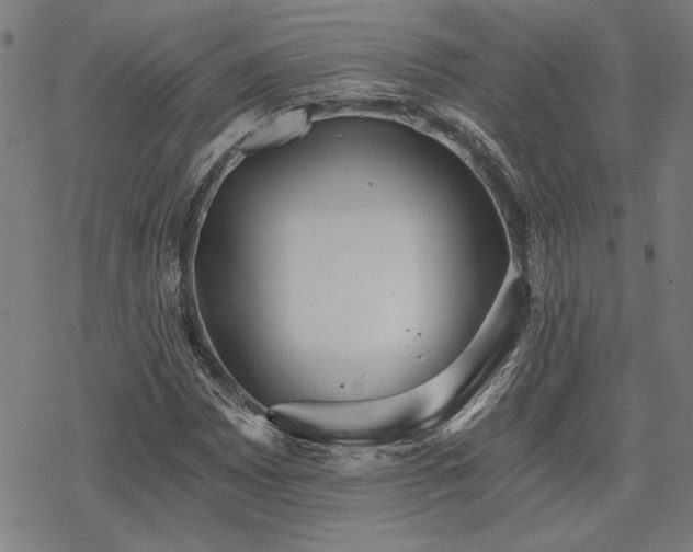 X0000068831065200605051230