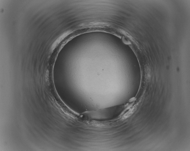 X0000068831066200605051230