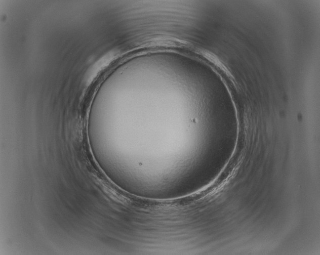 X0000068831067200605051230