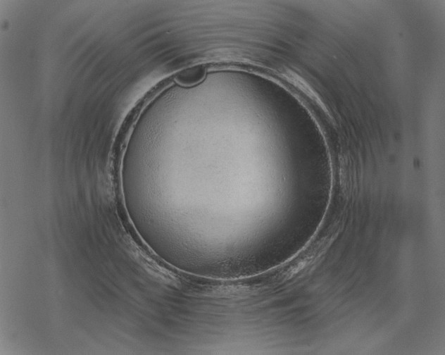 X0000068831068200605051230