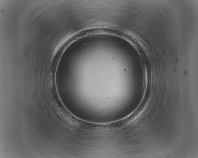 X0000068831069200605051230